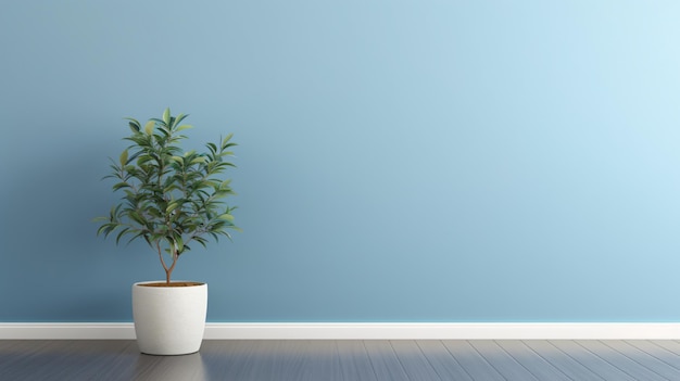 Empty room interior background blue wall pot