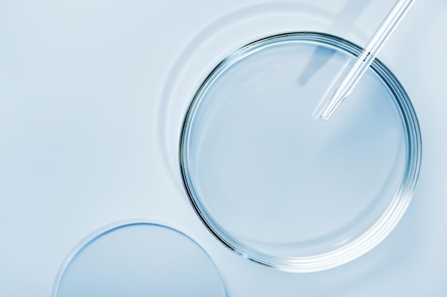 Empty round petri dish or glass slide and Pipette on blue background Mockup for cosmetic or scientific product sample