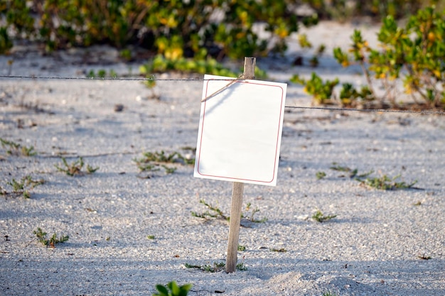 Empty signboard with copy space on seaside beach with small sand dunes and grassy vegetation on warm summer evening