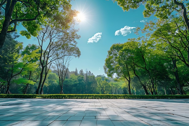 Empty square marble floor and green forest landscape background with blue sky