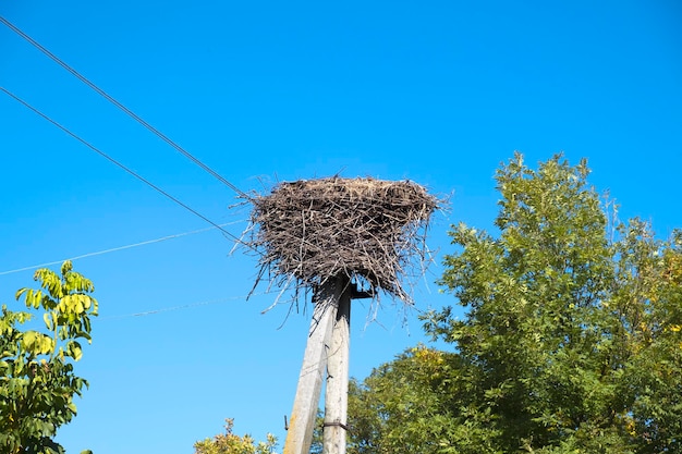 Empty stork's nest empty nest waiting for the storks to come in spring Stork's nest on a lamppost