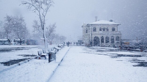 Empty street in a snowy day