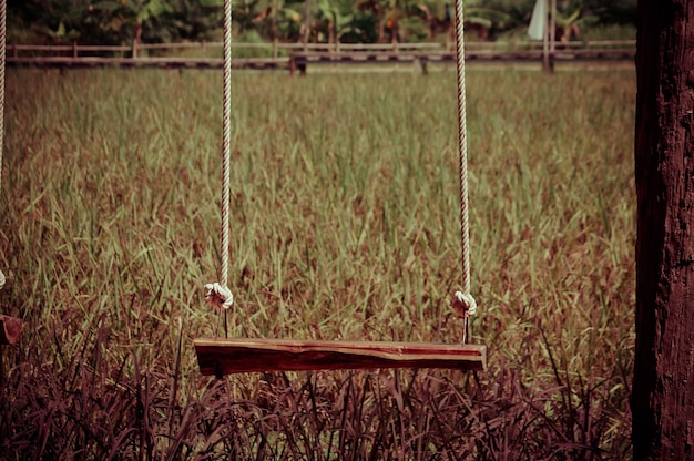 Photo empty swing hanging on field