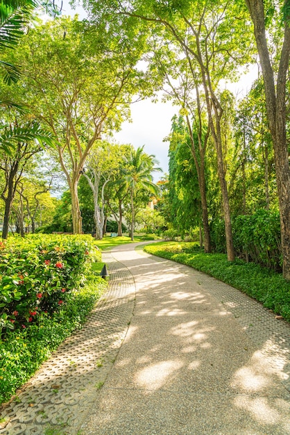 empty walkway with tree in garden