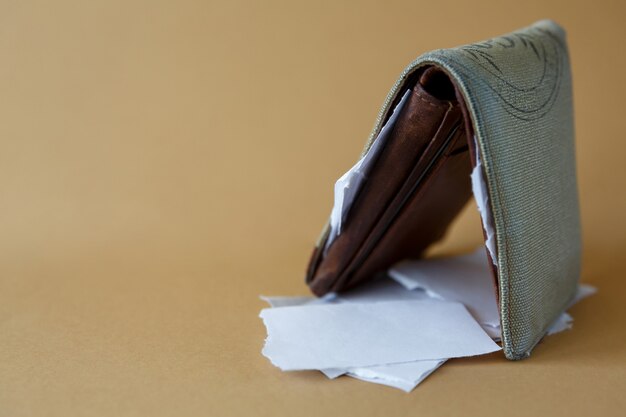 Empty wallet with pieces of paper on a plain background