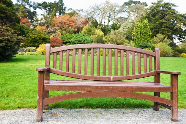 Empty wet bench in the beautiful autumn park