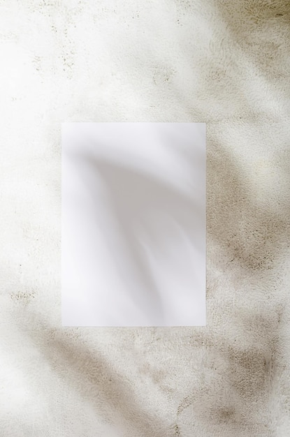 Empty white card with blur shadow of leaves on textured background