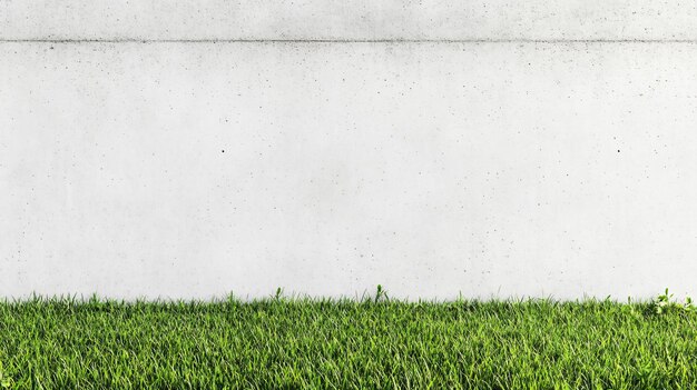 Photo empty white concrete wall with lush green grass floor background