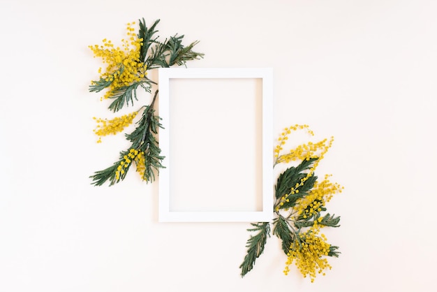 Empty white frame and yellow mimosa flowers on a white background of the top view with space copy Flat lay