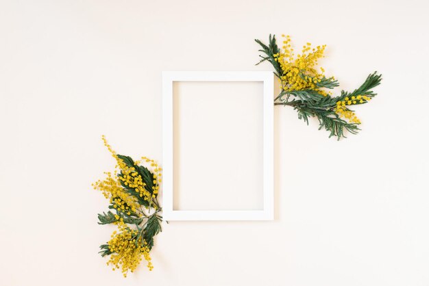 Empty white frame and yellow mimosa flowers on a white background of the top view with space copy Flat lay