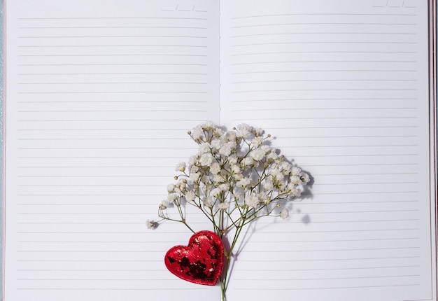 Empty white sheet of paper and gypsophila flowers on a pink background space for an inscription