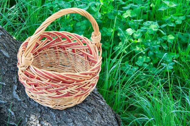 Empty wicker basket on trunk of fallen tree with green grass in the background