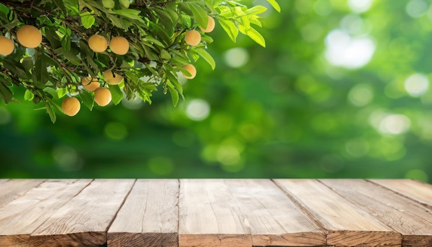 Photo empty wood table and jiaogulan trees on bokeh nature background