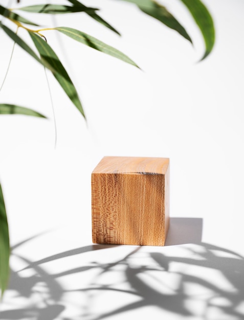 Empty wooden cube with shadows and green leaves on a white background