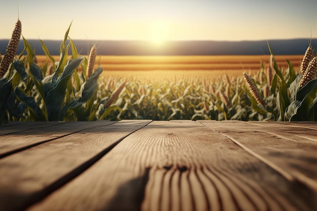 Empty wooden floor with cornfield in the background