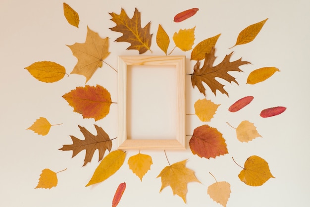 An empty wooden frame surrounded by yellow fallen leaves on a beige background. Autumn fla lay