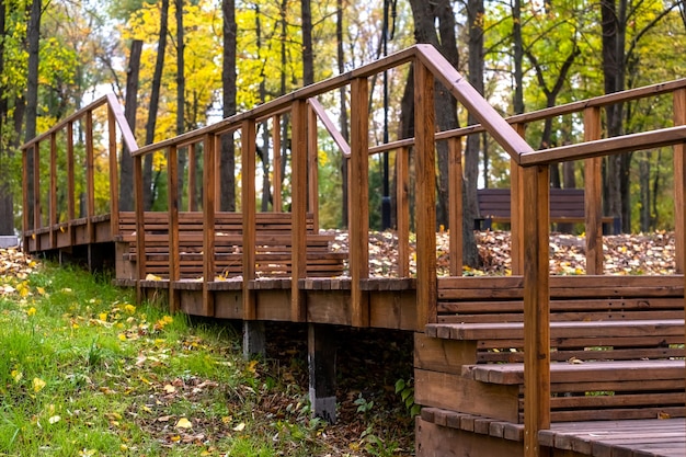 Empty wooden pier in city park at autumn day no people