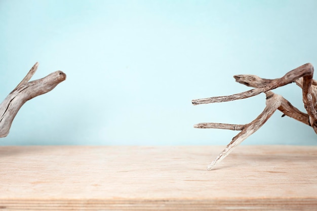 empty wooden surface with dry twigs on blue background