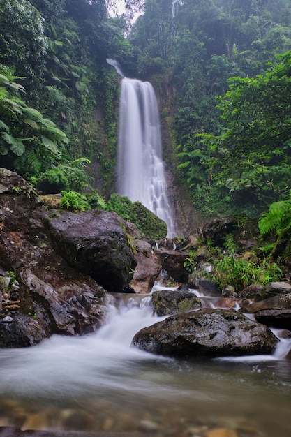 The enchanting Saderi Waterfall is located in Bogor West Java Indonesia