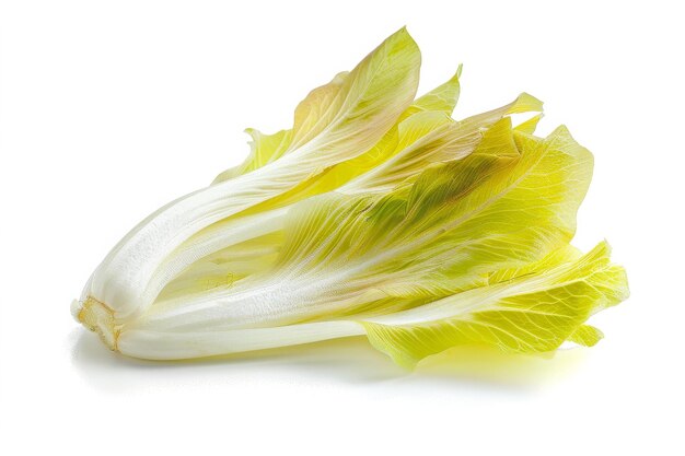 Endive39s Vibrant Charm On White Background