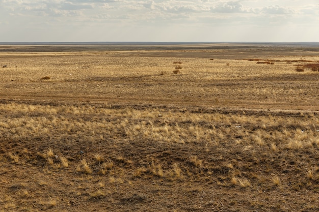 Endless kazakhstan steppes dry grass in the steppe