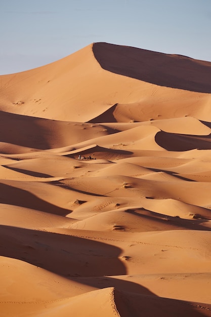 Endless Sands of the Sahara desert. Beautiful sunset over sand dunes of Sahara Desert Morocco Africa