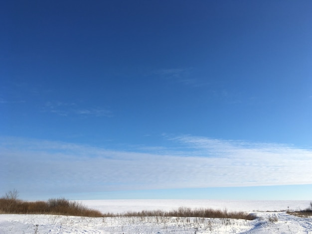 Photo endless winter landscape on a sunny day with blue sky