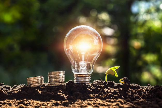 Energy concept. eco power. lightbulb with money and young plant on soil