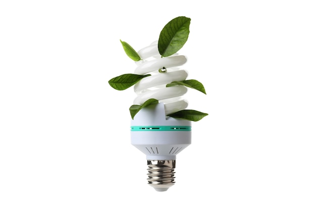 Energy saving bulb with leaves isolated on white background..