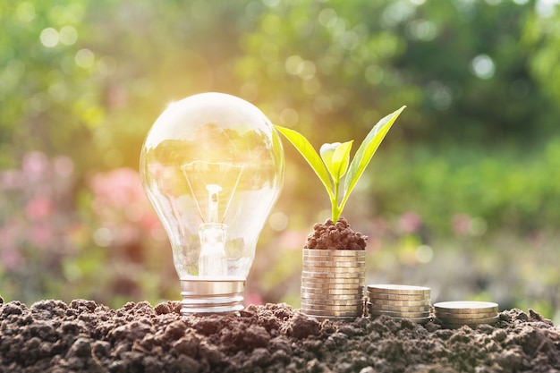 Energy saving light bulb and tree growing on stacks of coins on nature background.