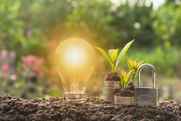 Energy saving light bulb with lock and tree growing on stacks of coins