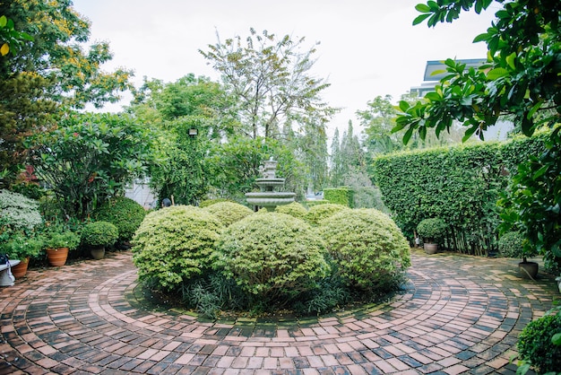 English style garden in summer