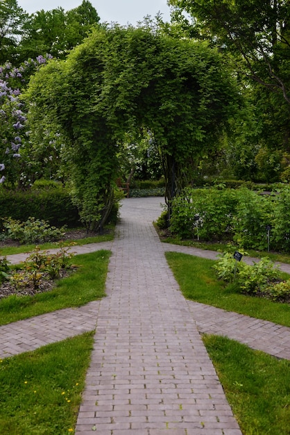 Entrance to the lawn