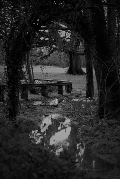 Photo entrance to the park