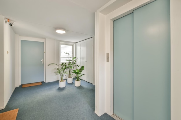 Entrance to a residential apartment with a carpeted floor and an elevator in blue in a cozy house