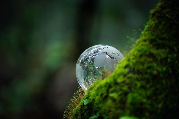 Environment Glass globe on grass moss in forest Green planet with abstract defocused bokeh lights Environmental conservation concept Elements of this image furnished by NASA