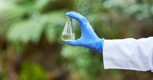 Environment science and flask with hands of scientist in nature for quality control research and water Sustainability study and medical with closeup of person in forest for eco biotechnology