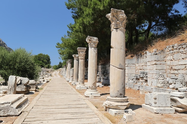 Ephesus Ancient City in Selcuk Town Izmir Turkey