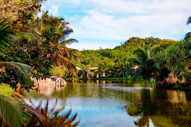 epic view picturesque bright nature in Seychelles La Digue lake and granite stones