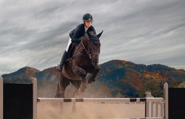 Equestrian sport Young girl rides on horse on championship