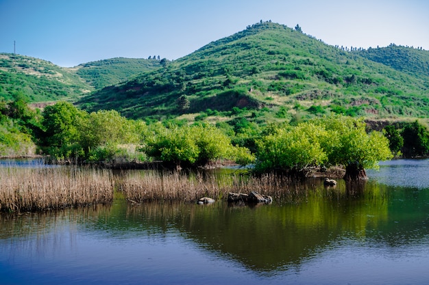 Erjos ponds, Tenerife, Canary islands, Spain