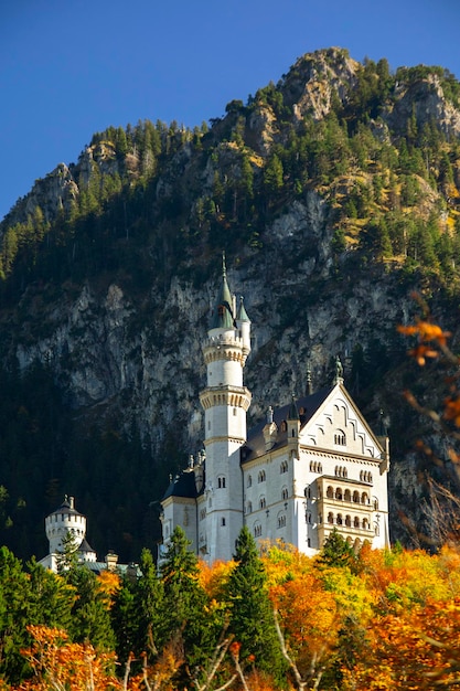 Ermany bavaria famous historic site neuschwanstein castle