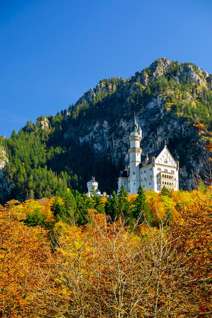 Ermany bavaria famous historic site neuschwanstein castle