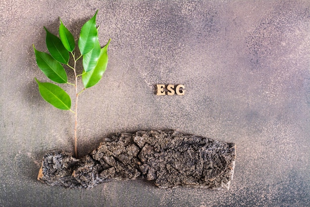 ESG environmental social and governance concept Sprout on the bark and letters on a brown