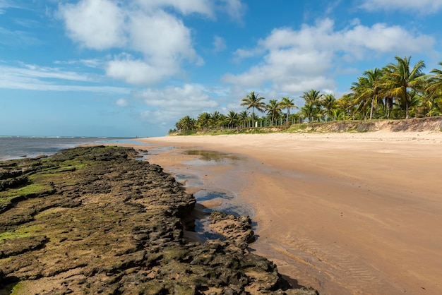 Espera beach Itacimirim Bahia Brazil on December 9 2022