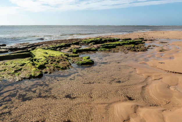 Espera beach Itacimirim Bahia Brazil on December 9 2022