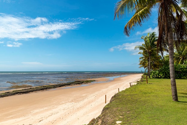 Espera beach Itacimirim Bahia Brazil on December 9 2022