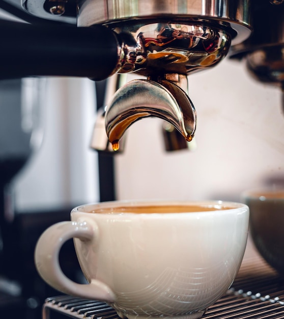 Espresso coffee extraction from a professional coffee machine with a bottomless filter