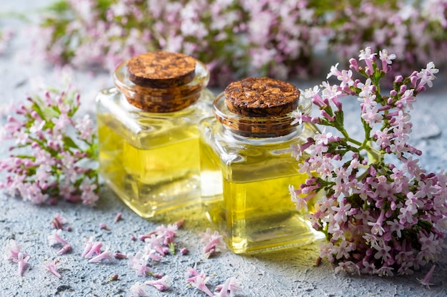 Essential oil in bottle with blooming valerian plant