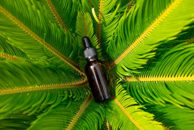 Essential oil in glass bottle on green plant outdoors great design for any purposes Cosmetic liquid beauty product Nature background